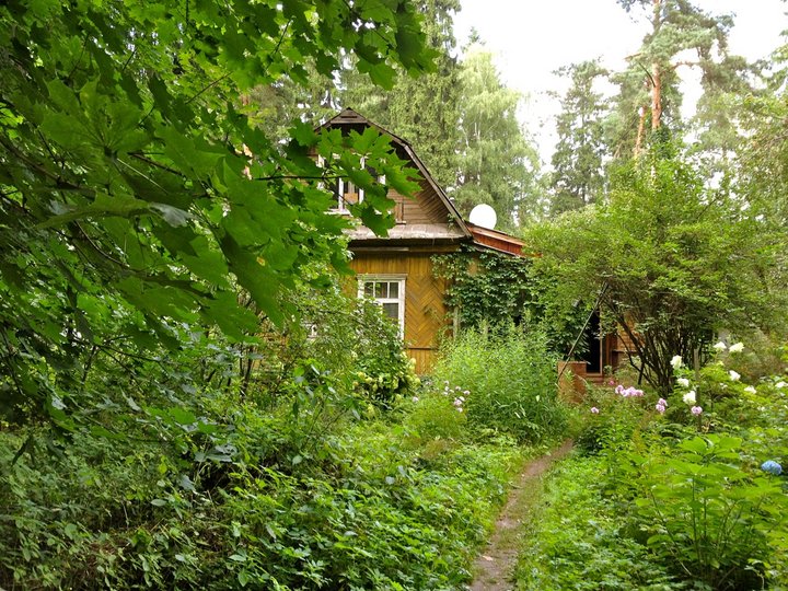 4+.jpg (682.43 КБ) Просмотров: 1210419 4+.jpg