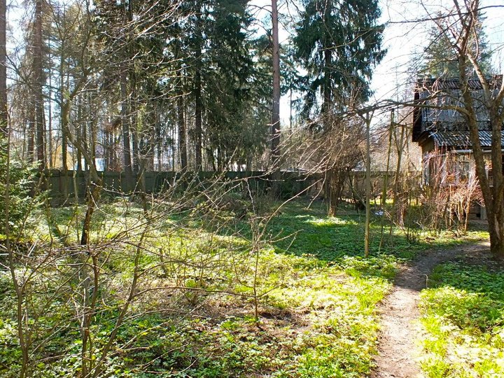 4-.jpg (593.08 КБ) Просмотров: 1210419 4-.jpg